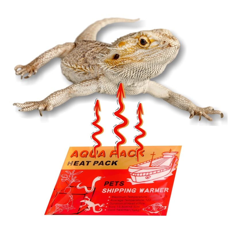 Aqua Heat Pack 40H ogrzewacz do transportu zwierząt 50szt.jpg